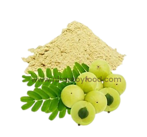 নিরাময়ী আমলকি গুড়া