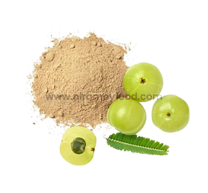 নিরাময়ী আমলকি গুড়া