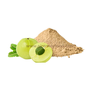 নিরাময়ী আমলকি গুড়া