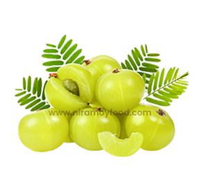 নিরাময়ী আমলকি গুড়া