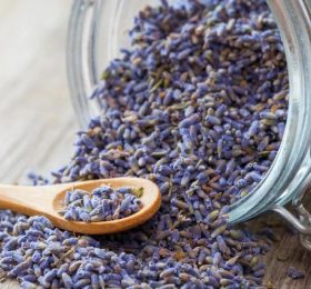 Dried Lavender Flower