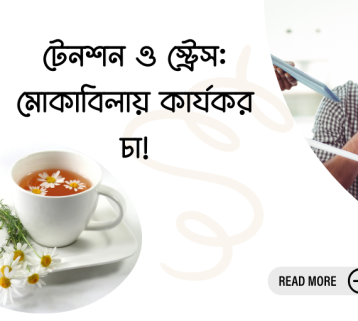 ল্যাভেন্ডার চা: মানসিক প্রশান্তি ও সুস্থতার প্রাকৃতিক উপায়