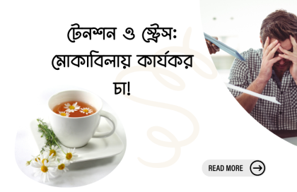 ল্যাভেন্ডার চা: মানসিক প্রশান্তি ও সুস্থতার প্রাকৃতিক উপায়