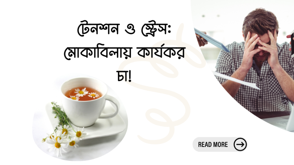 ল্যাভেন্ডার চা: মানসিক প্রশান্তি ও সুস্থতার প্রাকৃতিক উপায়