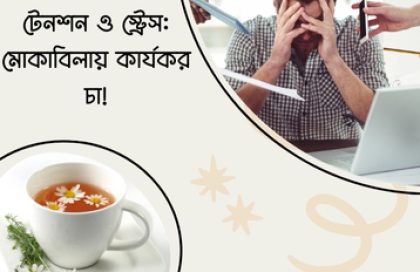 ক্যামোমিল: প্রাকৃতিক উপাদানে শারীরিক ও মানসিক প্রশান্তির রহস্য