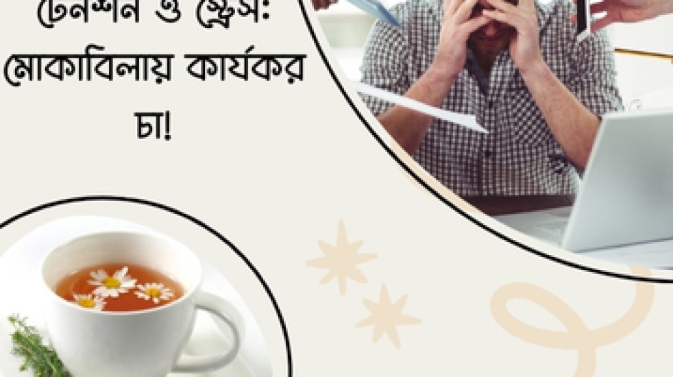 ক্যামোমিল: প্রাকৃতিক উপাদানে শারীরিক ও মানসিক প্রশান্তির রহস্য